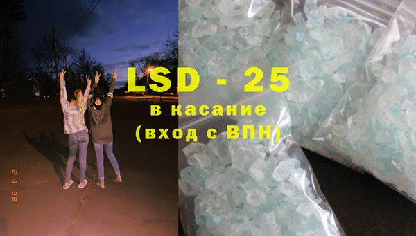 PSILOCYBIN Осинники