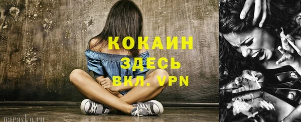 PSILOCYBIN Осинники