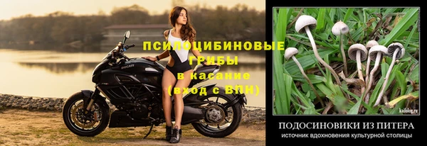 ПСИЛОЦИБИНОВЫЕ ГРИБЫ Остров