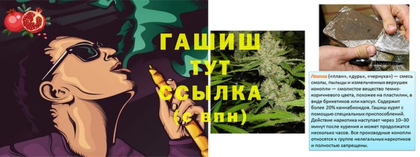 PSILOCYBIN Осинники