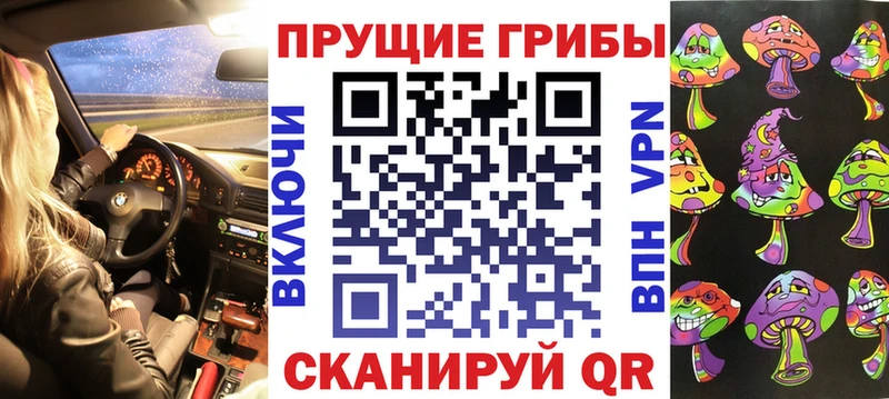 Галлюциногенные грибы Psilocybine cubensis  Лысково 